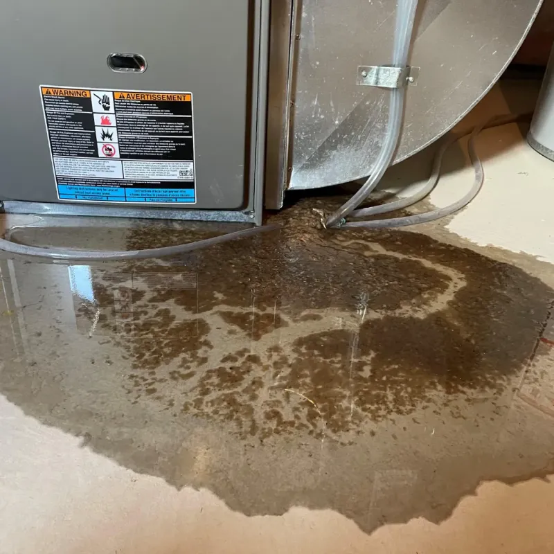 Appliance Leak Cleanup in League City, TX