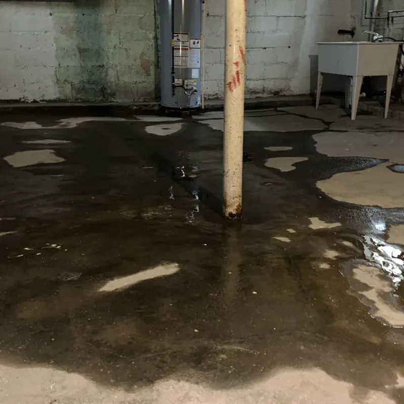 Emergency Water Extraction And Removal in League City, TX